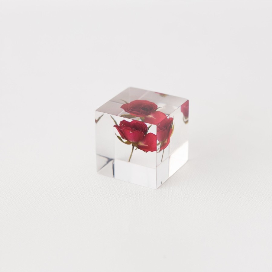 Living TORTOISE-yellow paper Sola Cube | Sola Cube - Rose (Limited Edition)